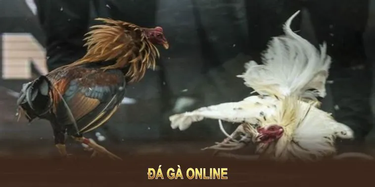Cách Tham Gia Đá Gà GA28 Tại BK8: Hướng Dẫn Chi Tiết