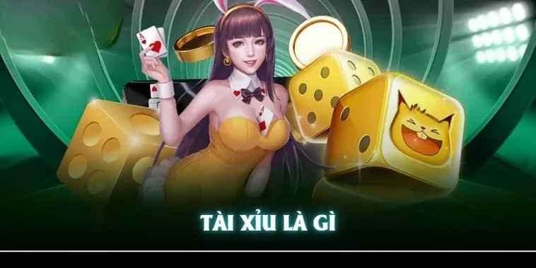Cách Chơi Tài Xỉu BK8: Bí Quyết Thắng Lớn Dễ Dàng